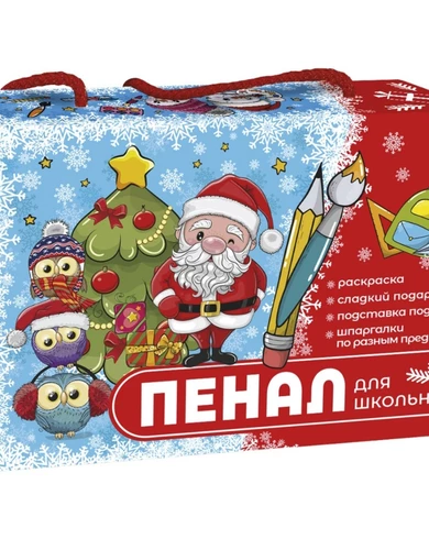 Пенал для школьника арт.25002